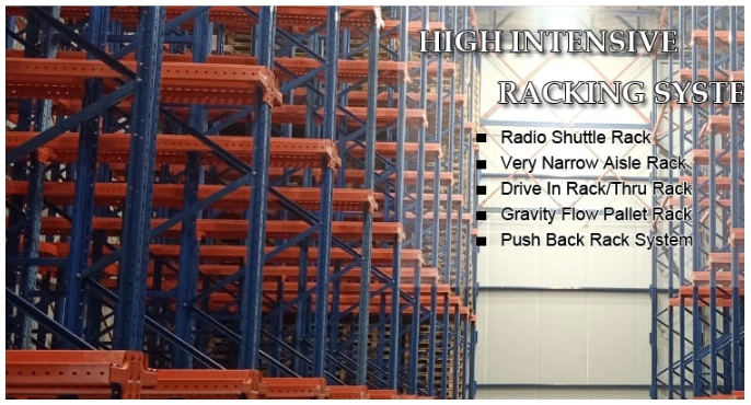 Ebiltech Custom Drive in Rack Storage Racking System for Industry